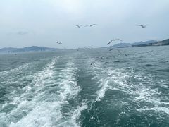 -刘公岛景区