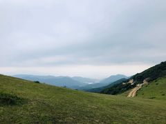 -大姆山草场