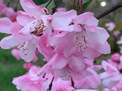 -外高桥保税区南(地铁站)