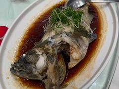 -金河半岛园林酒家(金融城店)