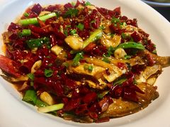 扒皮鱼-58度品质川菜馆(经一路店)