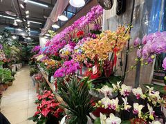 -双季花艺园艺市场(浦东店)