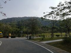 -火炉山森林公园