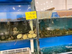 -盈田盈粥庄(博山东路店)