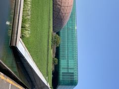 -金陵图书馆