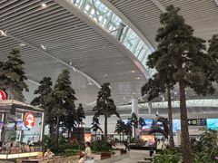 -青岛胶东国际机场