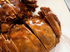 -呼吸森林·生态农庄农家乐私房菜