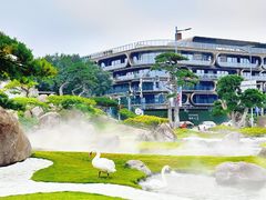 -罗红摄影艺术馆