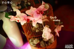 -DNA Wedding 婚礼记(上海店)