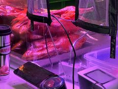 -水西门陈记鸭子店(总店)