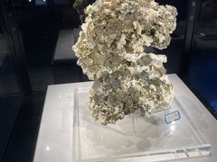 -中国地质大学逸夫博物馆