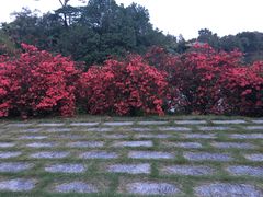 -华南国家植物园-售票处