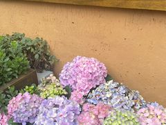 -木王宴语·野生鲜菌火锅(玉河店)