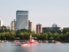 -莲花池公园