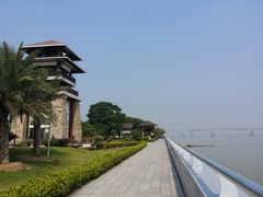 景点-大湾区中央湿地公园