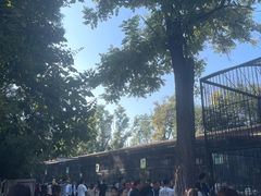 -保定市动物园