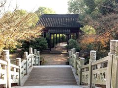 -八大山人梅湖景区