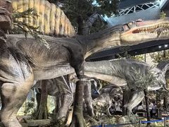 -湖南省地质博物馆