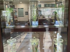 -北京中医药大学东直门医院(通州院区)