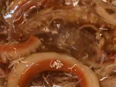 -食盈碗仔翅(星玺广场店)