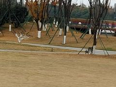 -府河摄影公园