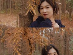 -昆山城市生态森林公园