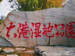 -大港湿地公园
