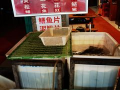 -金海椒罐罐鲢鱼(东方桂苑店)