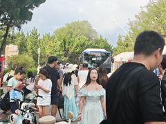 -养马岛旅游度假区