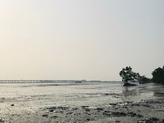 -宝安西湾红树林湿地公园