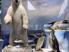 -国家自然博物馆