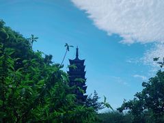 -上海方塔园
