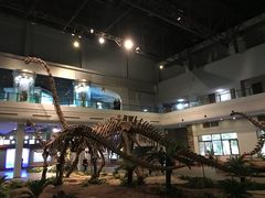 -自贡恐龙博物馆