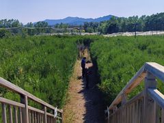 -亲兄弟真人CS团建拓展基地