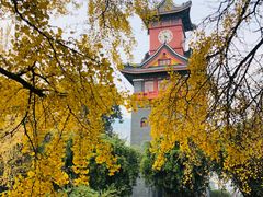 -四川大学(华西校区)