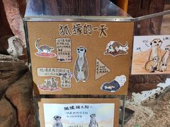 -正佳雨林生态植物园