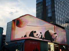 -大龙燚火锅(太古里店)