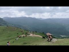 -大姆山草场