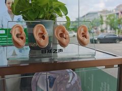 -自然之声助听器·呼吸机(康桥旗舰店)