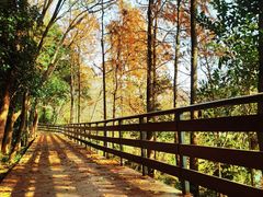 -西溪国家湿地公园