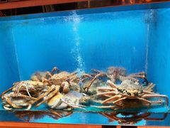 -阳光码头海鲜火锅(玉立路店)