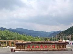 -苏木山森林公园