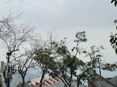 -灵顺寺