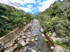 -海南热带雨林国家公园吊罗山景区