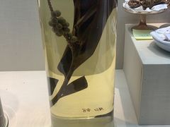 -广东中医药博物馆