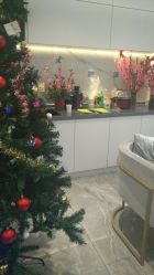 -张杰美业开发区旗舰店