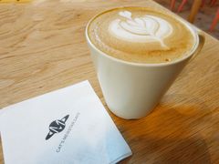咖啡-CAT’S MEWSTAR CAFE·喵星球猫屋(晴湾咖啡店)
