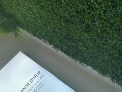 -南京医科大学友谊整形外科医院