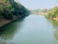 -上海海湾国家森林公园