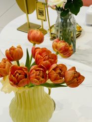 点击看大图 -WENDY·温迪皮肤管理